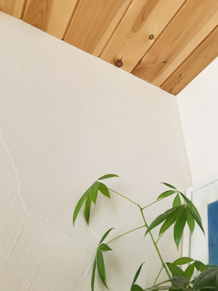 自然素材の家